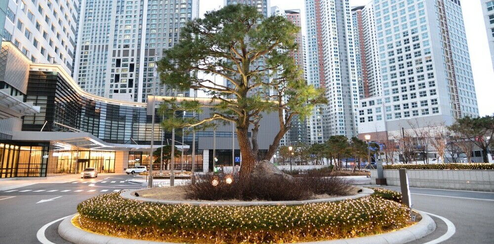 city tree