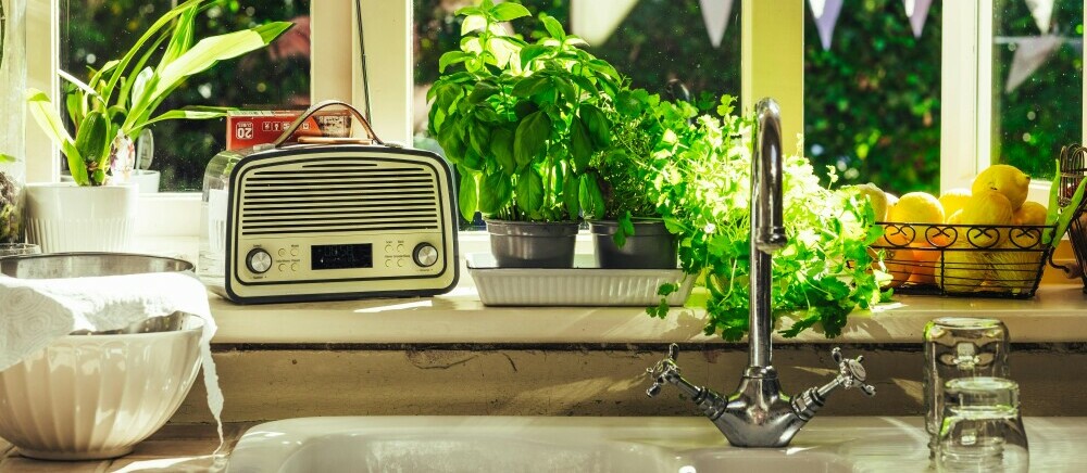 plants kitchen window