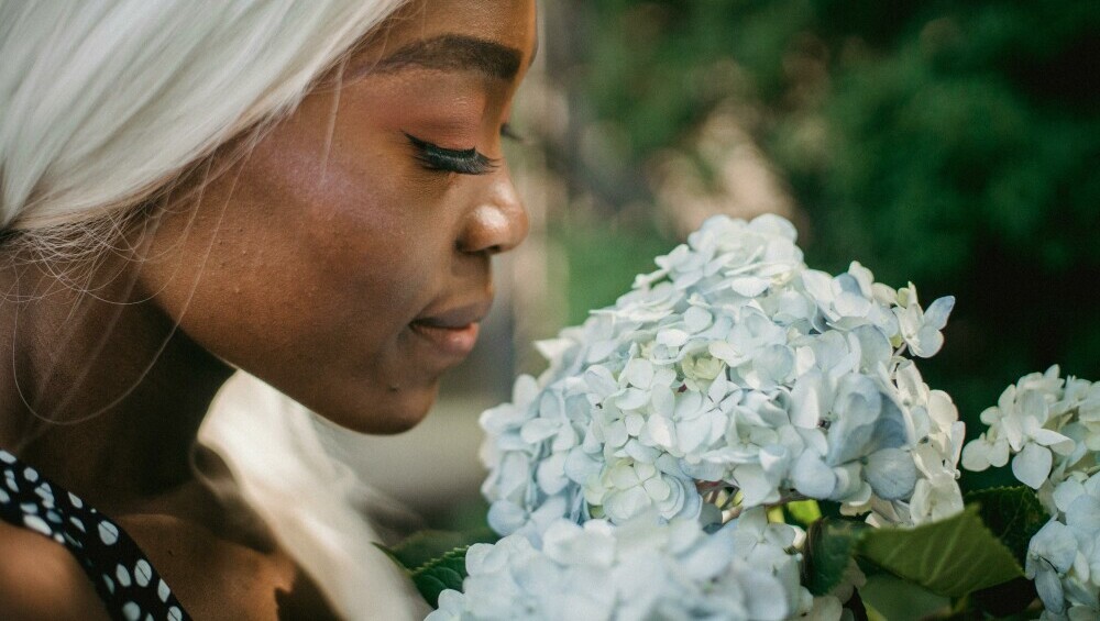 smelling Hydrangeas